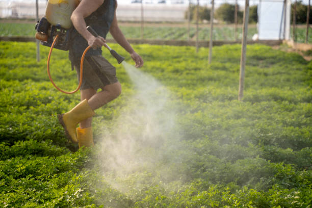 Best Pest Control for Restaurants  in Wynne, AR