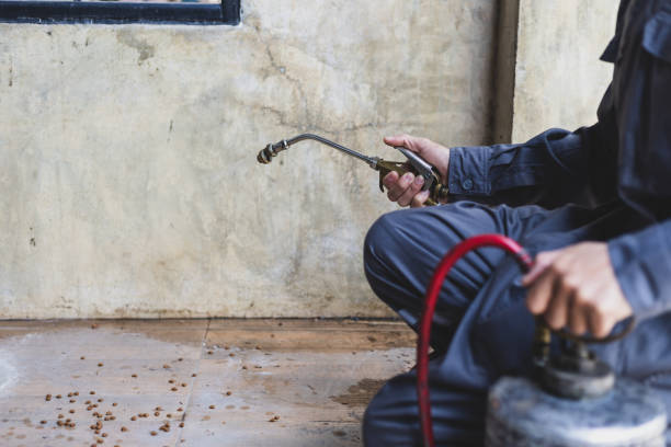 Best Pest Control Near Me  in Wynne, AR