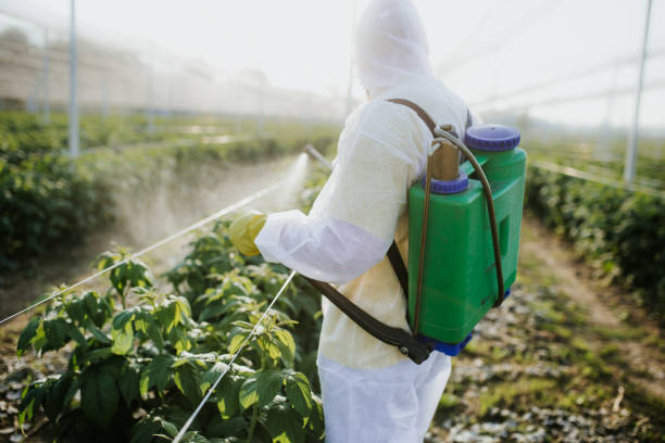 Pest Control for Restaurants in Wynne, AR